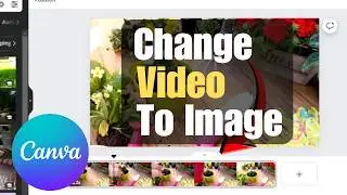 How To Change Video To Image in Canva | Simple Step-by-Step Guide