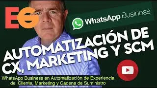 WhatsApp Business en Automatización de la Experiencia del Cliente, Marketing y Cadena de Suministro