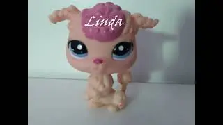 Rá is lehet szavazni!:D