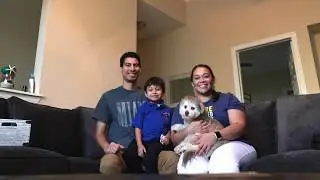 CC Post Harvey Compilation