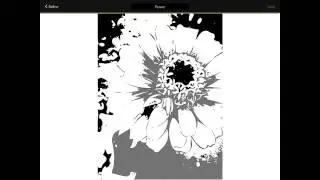 4. Adobe Shape Photo to Vector - Saving Duplicates