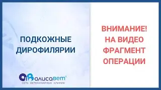 Глисты под кожей у собаки