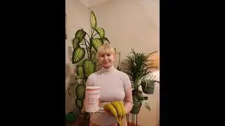 Уже две недели утро начинается с одной мысли....