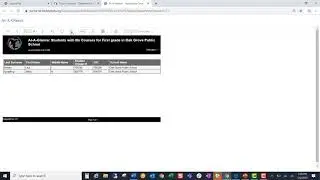Using the At A Glance Report