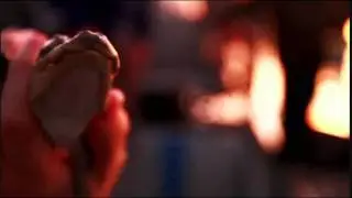 The New Pornographers - Failsafe (music video)