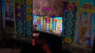 ПИШИТЕ В КОМЕНТЫ КОМУ КУПИТЬ БОНУСКУ #slot #slotonline #казино #casino #казик #заносынедели #zeus #А