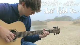 Just Hold On - Steve Aoki & Louis Tomlinson - Fingerstyle Guitar Cover