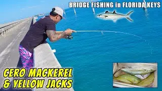 Mackerel and Yellow Jacks!  Bridge Fishing in Florida Keys