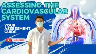 ASSESSING THE CARDIOVASCULAR SYSTEM