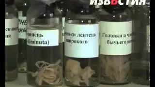 ЧЕРВИ ПОД КОЖЕЙ- болезнь Маргеллонов на славянской земле