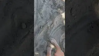 natural exfoliation #shorts