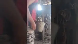 я тоже хочу. #животные