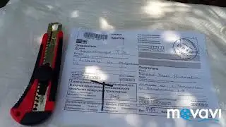 Новые сорта клубники монтерей, Альбион, ирма и чудо мира. Посылка из Астрахани от Гаджимурата.