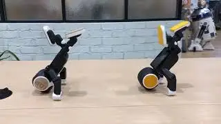 Robohon Robot Smartphone Süper Serin