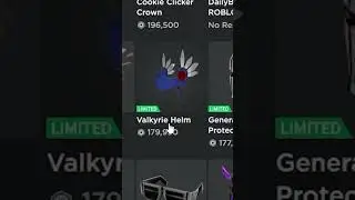 200,000 Robux On A Stupid Roblox Item 