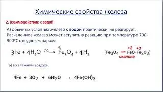 Готовимся к ЕГЭ  по химии.  Жеоезо и его соединения