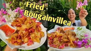 Crispy Bougainvillea flower