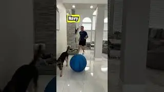 The Branches Get A Service Dog 