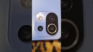 Xiaomi mi 11 lite 5g ne