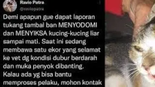 Viral Sadis !!! Kucing Di S0d0m1 tukang Tambal Ban Hingga ada yang tewas😭😭😭