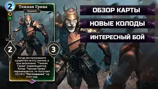 Обзор новой карты месяца - темной гривы в Tes legends. Бой против...
