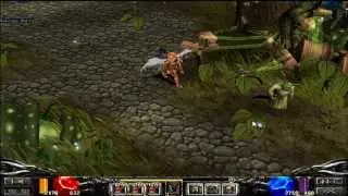 Mu Online Season 2 Exp 100 Drop 70
