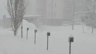 No. Now it's snowing heavily in Vaasa on Christmas Eve #2021. #Vaasa #Snowing #Finland #LifeGoesOn