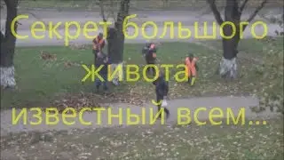 Секрет большого живота, известный всем