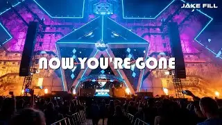 Basshunter - Now You're Gone (Jake Fill Bootleg)