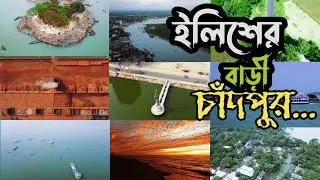ইলিশের বাড়ি চাঁদপুর | Hilsa's Home is Chandpur | Hilsa Fish | Vlog Video