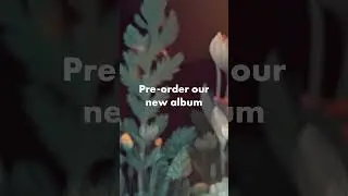 Hang Massive New Album Pre-Order 