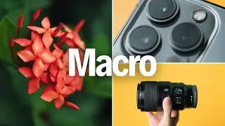 Macro iPhone 13 Pro vs Lensa Macro Beneran! 🤯