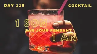 Cocktail - 1 son par jour pendant 1 an - Day 116 – INSTRU CARIBBEAN PROD by VENSY RECORD