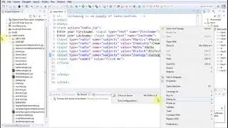 Reading data from Radiobuttons (option buttons) in JSP
