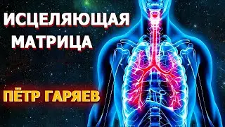 Реабилитация бронхо-легочной системы - матрица здоровья ☀️ Здравушка 