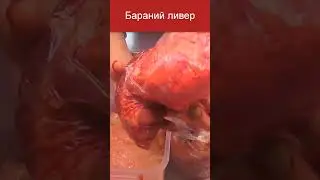 Как сделать шашлык из бараньего ливера