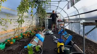 The gardening week ~ all change for winter