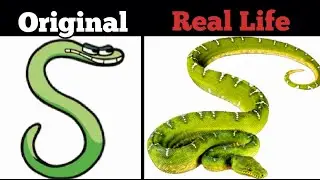 Alphabet Lore Characters In Real Life 💥