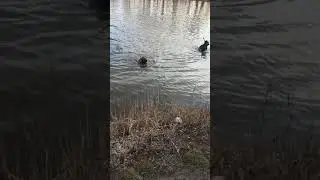 Проверка подводного костюма в пруду.