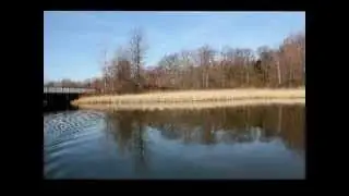 A Moment in the Lagoons