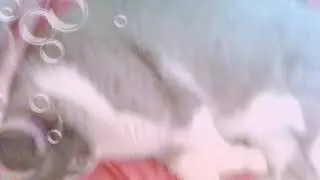 Обьеснения чо там где и всё такое