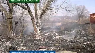 Лесные пожары