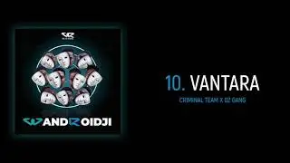 Criminal Team - Vantara feat. DZ GANG (Audio Officiel)