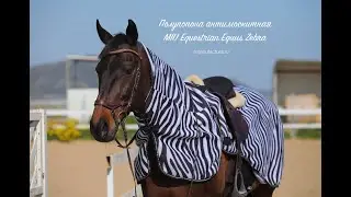 СПАСАЕМ лошадь от МОШКИ и слепней с полупопоной под седло ZEBRA