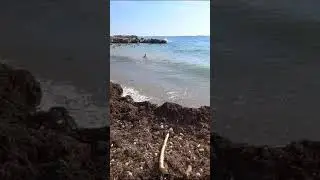 ДИВНОМОРСКОЕ🤔 ПЛЯЖ ГОЛУБАЯ ДАЛЬ ПОСЛЕ ШТОРМА 🔆