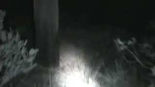 Slender Short film