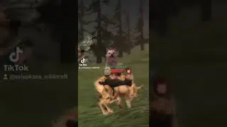 (❗Идея Моя❗) звук из тт😽🫶🏻 Если берёте то ‼️ОТМЕЧАЙТЕ‼️Без разрешения не 🚫БЕРЁТЕ 🚫❗БАН❗