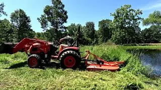 CLEARING Acres of OVERGROWN Land - TALL Weeds and Brush Removed