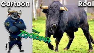 ZOOTOPIA Characters In Real Life 💥