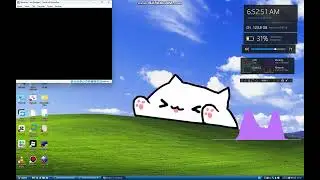 Masha bear screaming has bsod